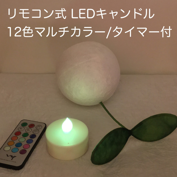 苔玉ライト 2枚目の画像