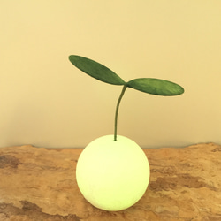 苔玉ライト 3枚目の画像