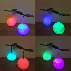 苔玉ライト 6枚目の画像