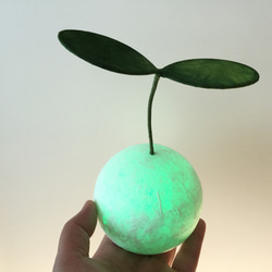 苔玉ライト 7枚目の画像