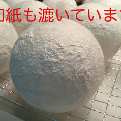 苔玉ライトtomoko様注文分（他の方はご注文いただけません） 5枚目の画像