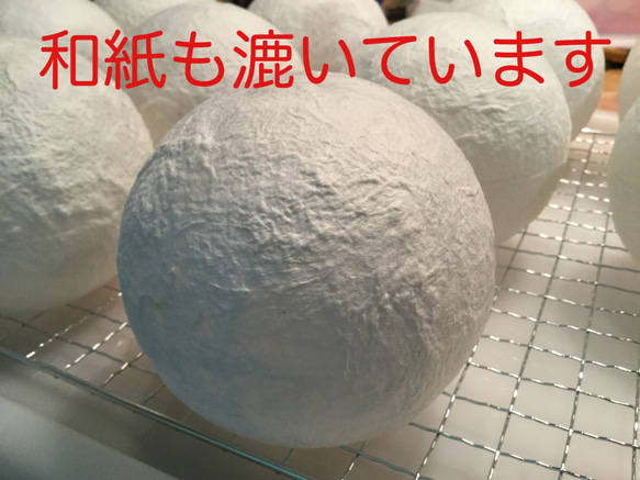 苔玉ライトtomoko様注文分（他の方はご注文いただけません） 5枚目の画像