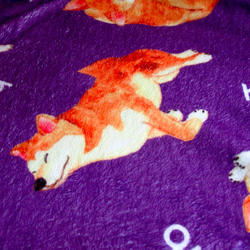 柴犬 毛毯 小狗 空調毯 暖暖毯 被毯 披毯 保暖毯 寵物蓋毯 第7張的照片