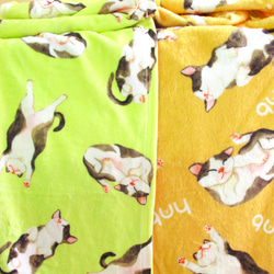 貓咪 小貓 毛毯 空調毯 暖暖毯 被毯 披毯 保暖毯 寵物蓋毯 第4張的照片