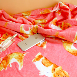 キティー・キャット毛布暖かい毛布空調ブランケット毛布は、毛布をドレープ暖かい毛布ペットの毛布ウサギ 5枚目の画像