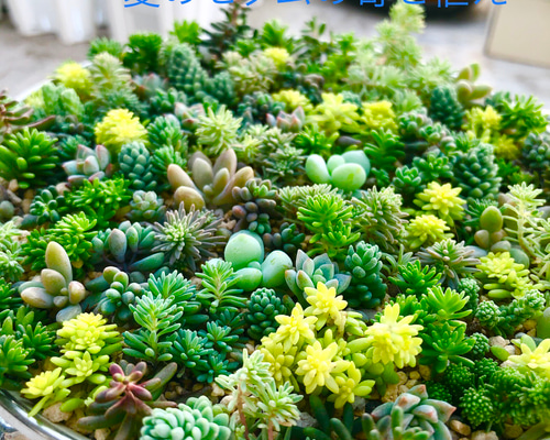 1_c20d81c837b18845cfb75ec4fb48