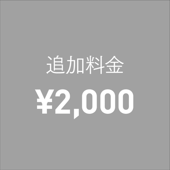 追加費用2000日元 第1張的照片