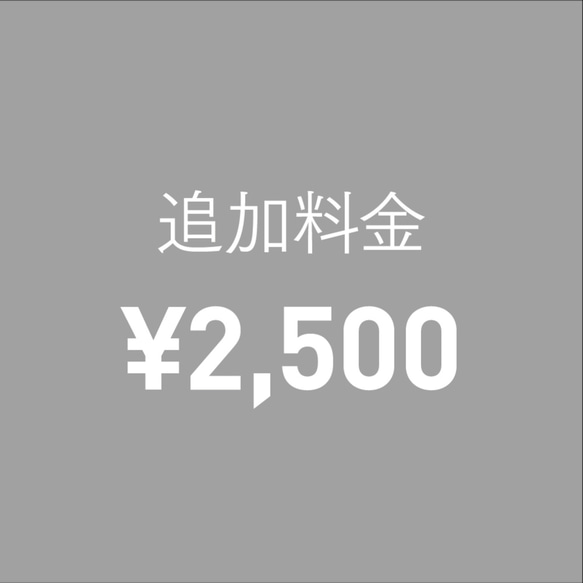 追加料金 ¥2500 1枚目の画像