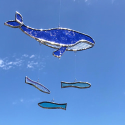 シロナガスクジラ　コレデオシマイ〜 1枚目の画像