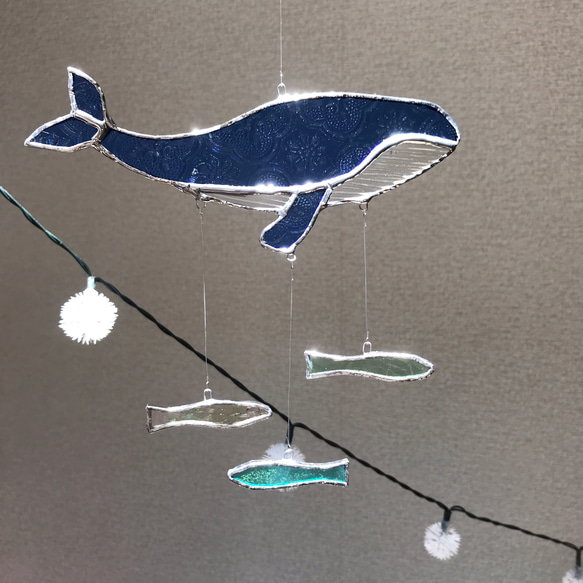 シロナガスクジラ　コレデオシマイ〜 2枚目の画像