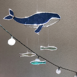 シロナガスクジラ　コレデオシマイ〜 5枚目の画像