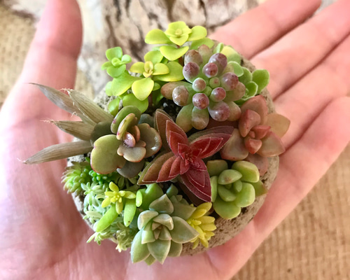 1_f9ce83d67c2e14eba79ca5a4d6e3