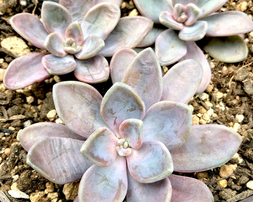 1_56ba4afc90cd708be590b24654cc