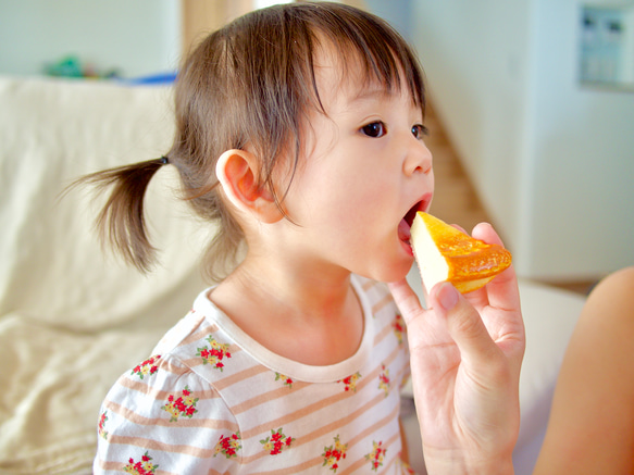 《特集掲載》おもちゃのケーキ屋さんごっこ おままごと　 13枚目の画像