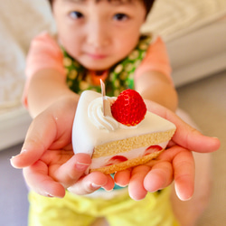 食べられない苺のショートケーキ 8枚目の画像