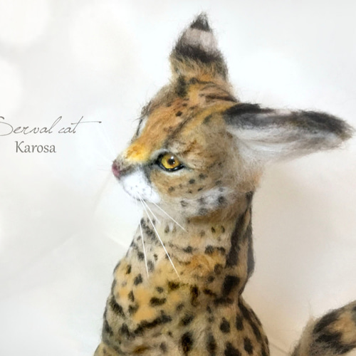 リアルアートドール 製作オーダー 犬 猫 500x0.jpg