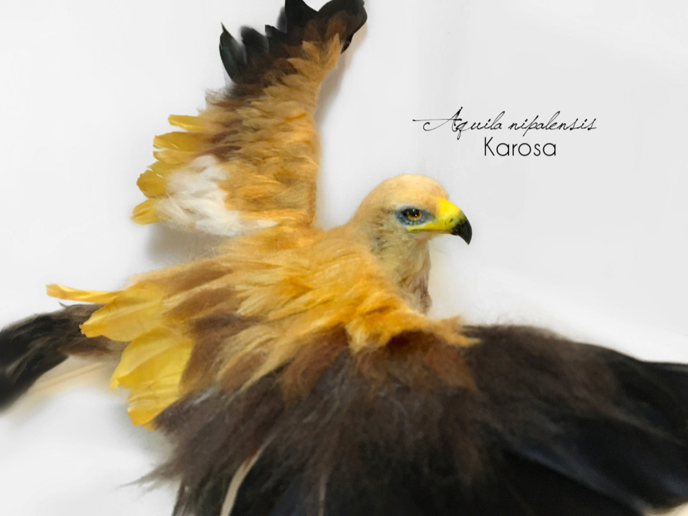 【受注制作】2way　鷲　ワシ　古代アフリカ草原ワシ　黒と金の羽　羊毛フェルト　アートドール