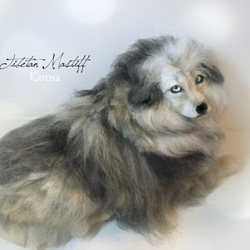 チベタンマスティフ　東方神犬　大型犬　最古　犬　羊毛フェルト　 2枚目の画像