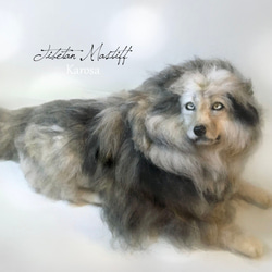 羊毛フェルト ヨークシャーテリア 羊毛フェルト 犬 ヨークシャーテリア❣️ No.4 - メルカリ
