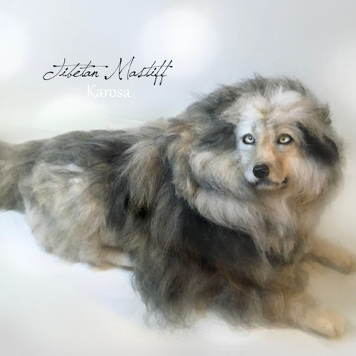 チベタンマスティフ 東方神犬 大型犬 最古 犬 羊毛フェルト 羊毛