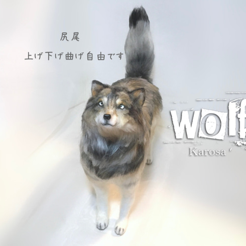 Wool Sculpture of Wolf【羊毛造形】 オオカミさん完成しました