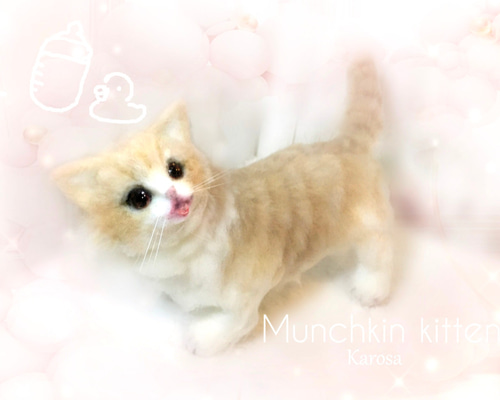 0_5809752b1a9002451630522cc385