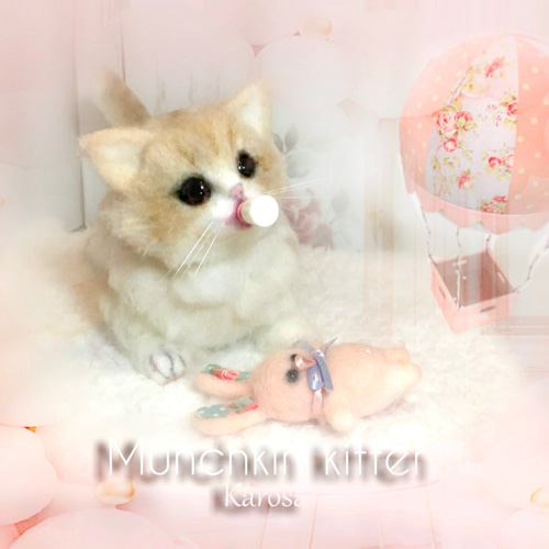 マンチカン 子猫 可動 猫 ぽてぽて ころころ むちむち 羊毛 マンチカン 子猫 可動 猫 ぽてぽて ころころ むちむち 羊毛