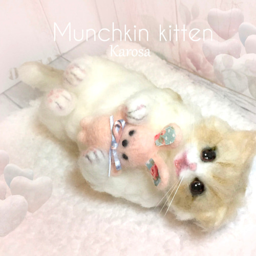 マンチカン 子猫 可動 猫 ぽてぽて ころころ むちむち 羊毛 マンチカン 子猫 可動 猫 ぽてぽて ころころ むちむち 羊毛