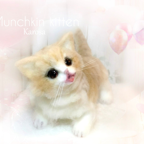 マンチカン 子猫 可動 猫 ぽてぽて ころころ むちむち 羊毛