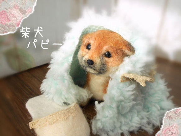 柴犬　パピー　羊毛フェルト　犬　愛犬 1枚目の画像