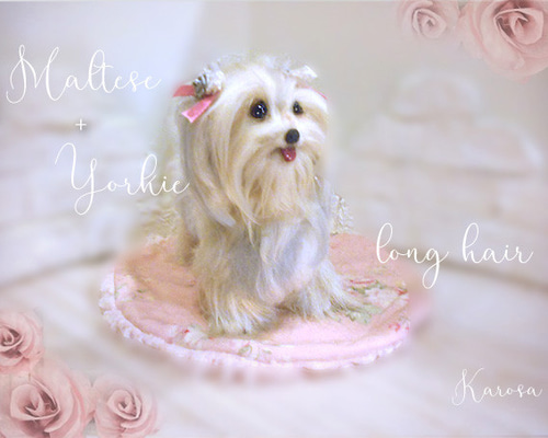 0_0a73328e0ae1ca10397932735f42