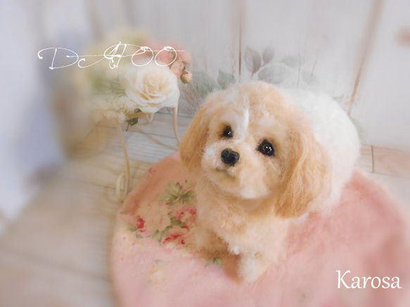 ダックス+トイプー＝ダップー　羊毛フェルト　ミックス犬 1枚目の画像