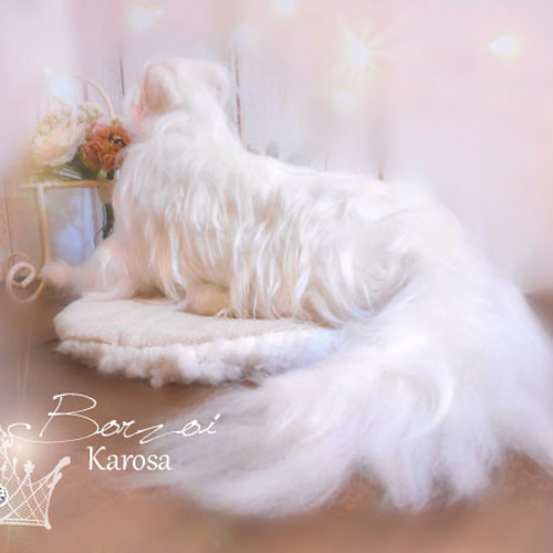 羊毛フェルト『ボルゾイ』Lサイズ 羊毛フェルト Karosa.co 通販 