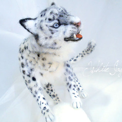 羊毛フェルト　ホワイトテリア 羊毛フェルト ホワイトテリア