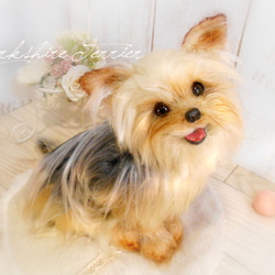 羊毛フェルト　ヨークシャテリア　オーダーページ 羊毛フェルト ヨークシャテリア オーダー 犬 ハンドメイド