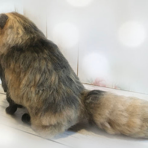 たぬき タヌキ 狸 エゾタヌキ 狸又 妖狸 化け狸 笠狸 リアル