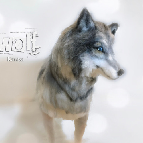 羊毛フェルト　ハンドメイド　オオカミ 0_62ce2df9a814936a4a48736d29ba