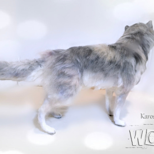 オオカミ 狼 Lサイズ 羊毛フェルト 羊毛フェルト Karosa.co 通販
