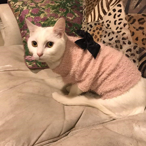 古着リメイクのリボンつきピンクモヘアニット☆猫服・犬服☆MIKA 