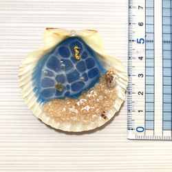 送料無料‼︎ 貝がらに海を閉じ込めたマグネット 3枚目の画像