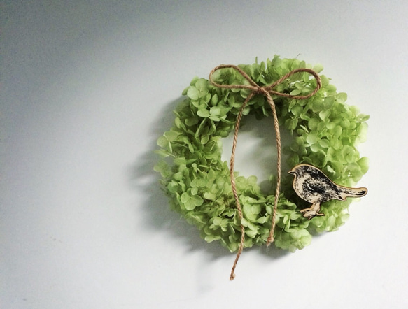 Preserved Flower wreathe~新緑のリース~ 1枚目の画像