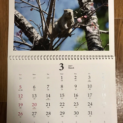 2017年カレンダー1月スタート（A3壁掛け、 祝日・イベント・六曜・節気あり） 2枚目の画像
