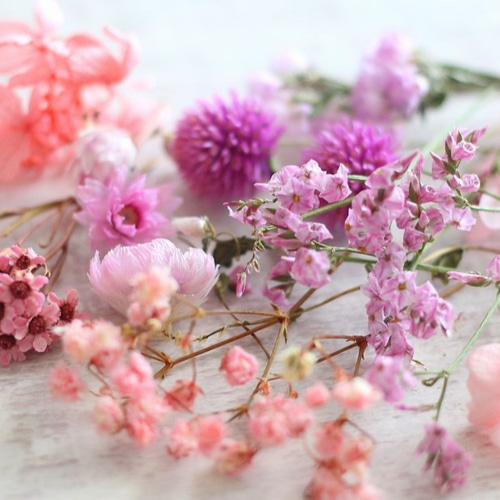ピンクの花材 （ハーバリウム・ボタニカルキャンドル用素材） その他 