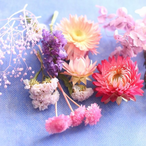 ピンクと紫の花材 （ハーバリウム・ボタニカルキャンドル用素材 