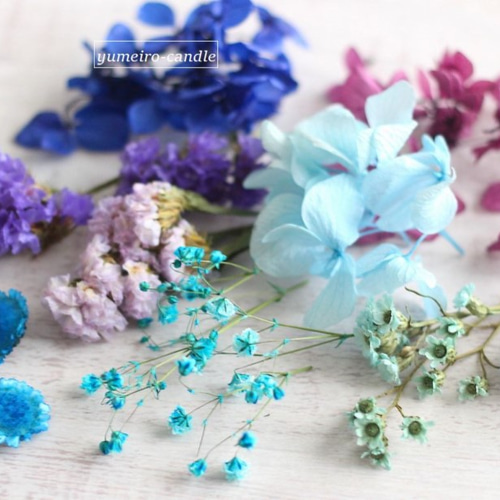 青と紫の花材 （ハーバリウム・ボタニカルキャンドル用素材） その他 