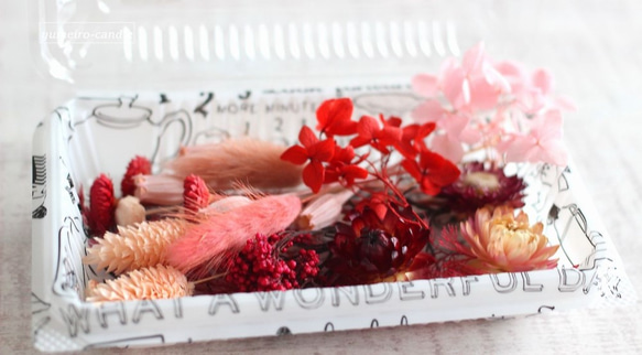 赤とピンクの花材　（ハーバリウム・ボタニカルキャンドル用素材） 3枚目の画像