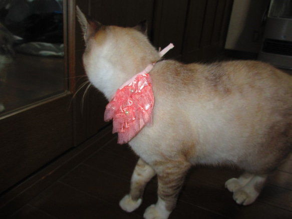 猫　犬　首輪　バンダナ　首飾り　　ペットグッズ　アクセサリー 4枚目の画像