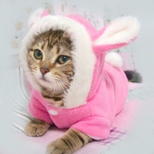 わんちゃん、ねこちゃんに！可愛いコスプレ洋服犬猫用 ペット服