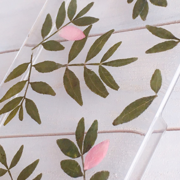 【送料・ネーム無料】ヤマコウバシの葉のiPhone押し花スマホケース 2枚目の画像