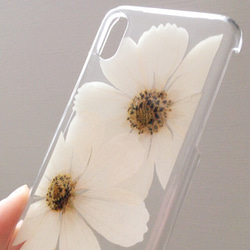 【即日発送・送料無料】ホワイトコスモスのiPhoneX押し花ケース 4枚目の画像